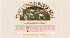 Desktop Screenshot of bigviewwalkinghorses.com