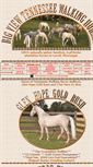 Mobile Screenshot of bigviewwalkinghorses.com