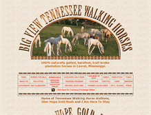 Tablet Screenshot of bigviewwalkinghorses.com